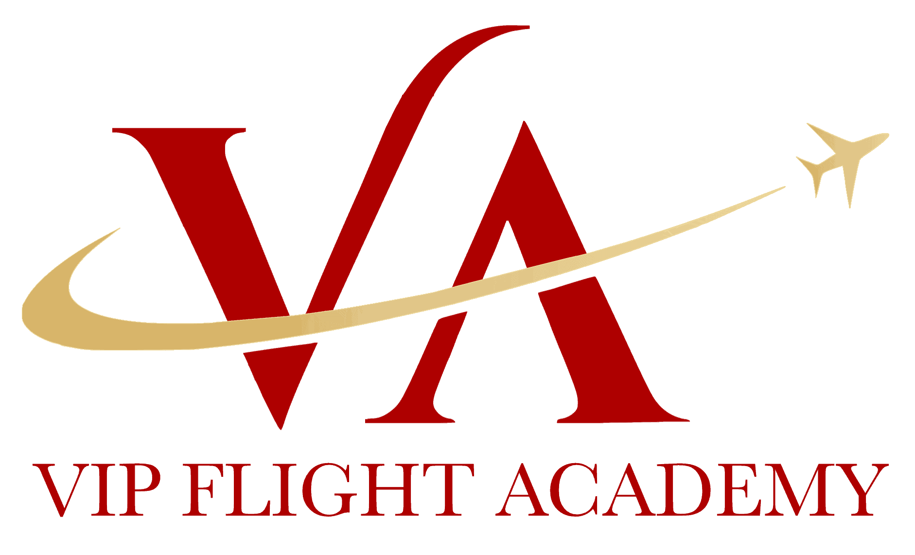 VIP Flight Academy