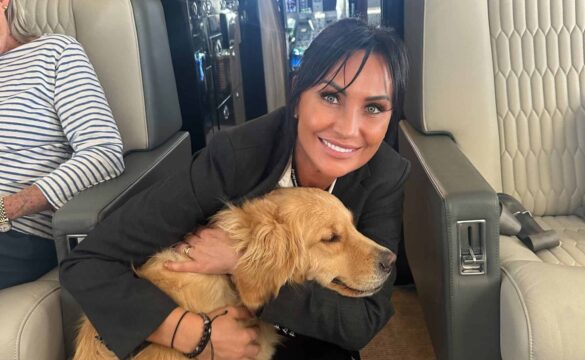 {{brizy_dc_image_alt entityId=