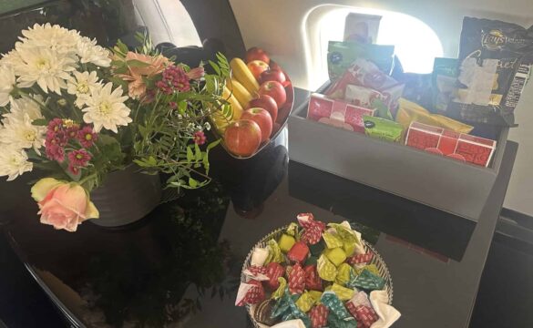 {{brizy_dc_image_alt entityId=