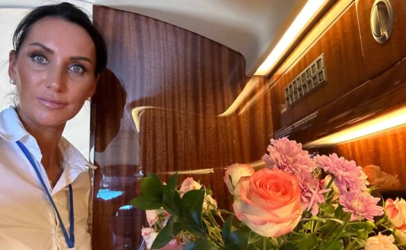 {{brizy_dc_image_alt entityId=