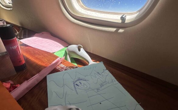 {{brizy_dc_image_alt entityId=