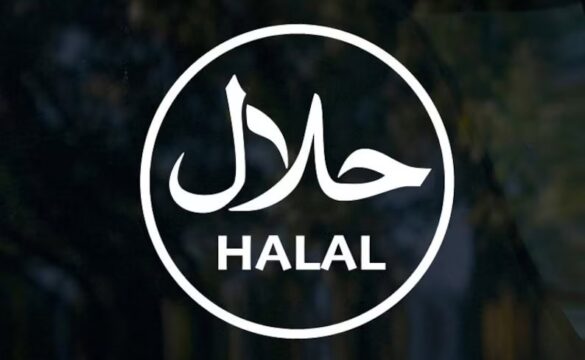 {{brizy_dc_image_alt entityId=