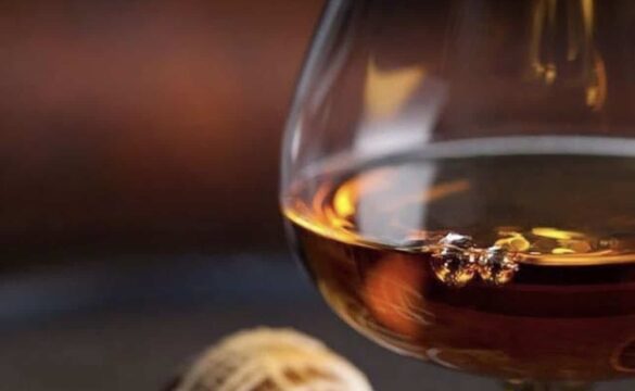 {{brizy_dc_image_alt entityId=